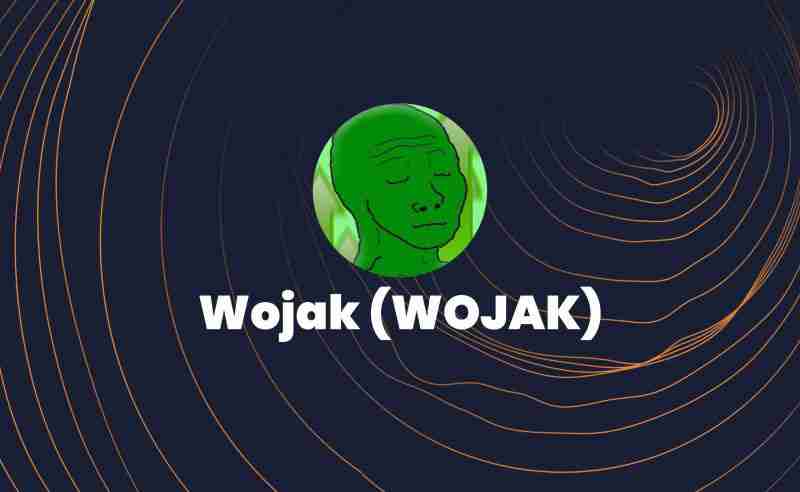 Wojak(WOJAK币)是什么?值得投资吗?关于WOJAK币的全面指南